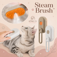 Steam Brush