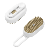 Steam Brush